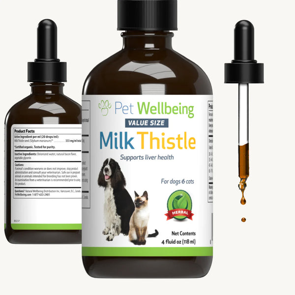 Milk Thistle - for Healthy Liver Function in Cats (4 oz)