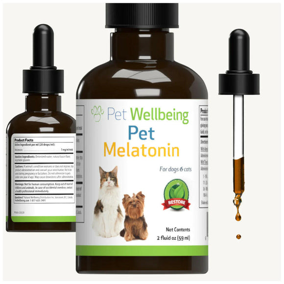 Pet Wellbeing pet melatonin for dogs works great for sleep and anxiety