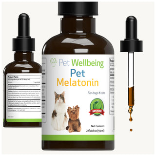Pet Wellbeing pet melatonin for dogs works great for sleep and anxiety