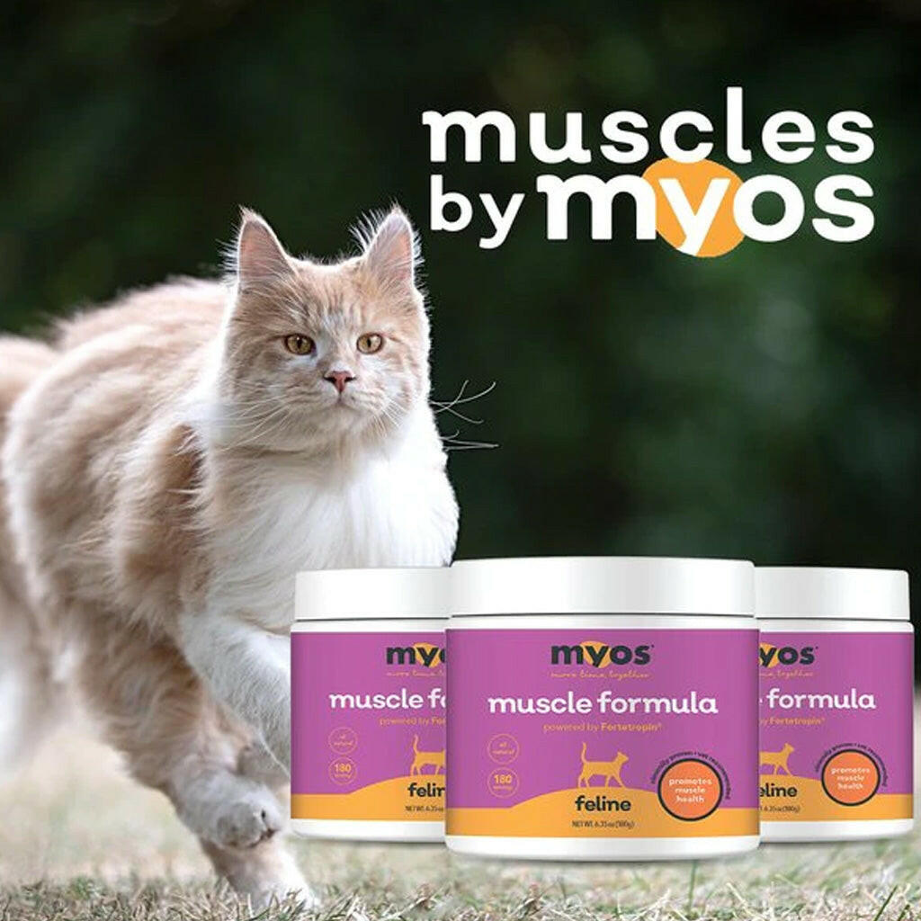 MYOS Feline Muscle Formula Powder Cat Supplement (180 g)