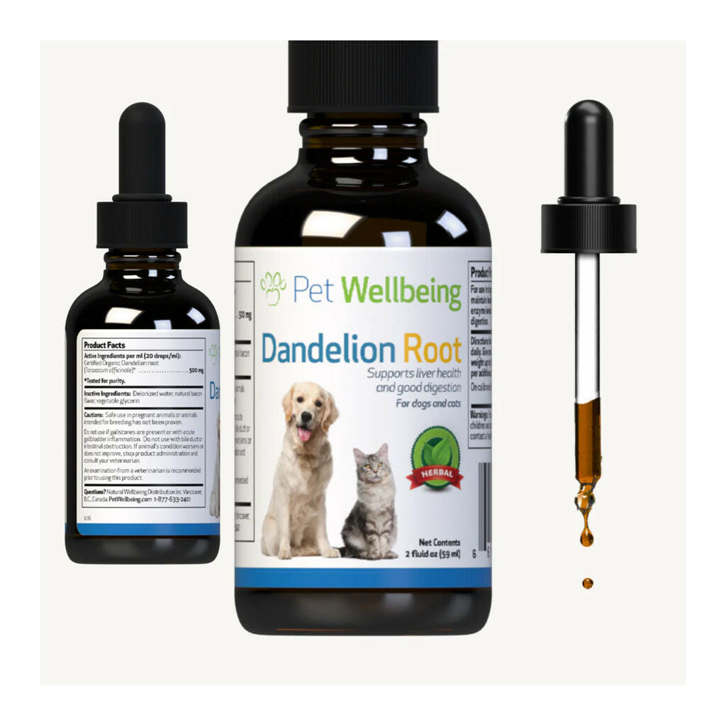 Dandelion Root Digestive & Liver Support for Cats (2 oz)