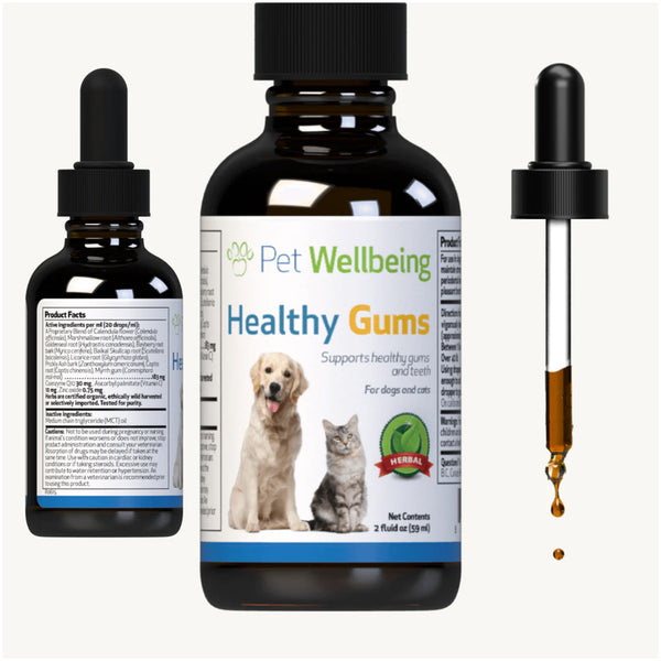 Healthy Gums- for Canine Periodontal Health (2 oz)