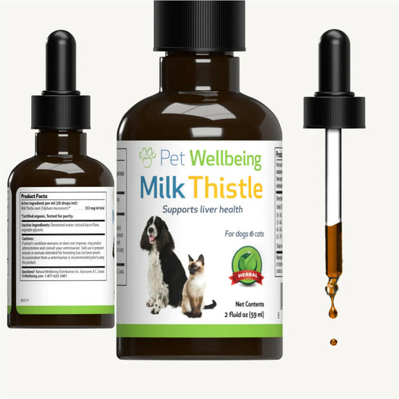 Detox your dogs liver with milk thistle 
