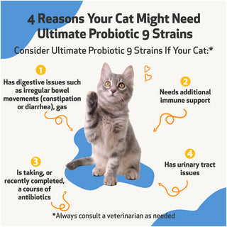 Ultimate Probiotic 9 Strains with Prebiotics for Cats (5.64 oz)