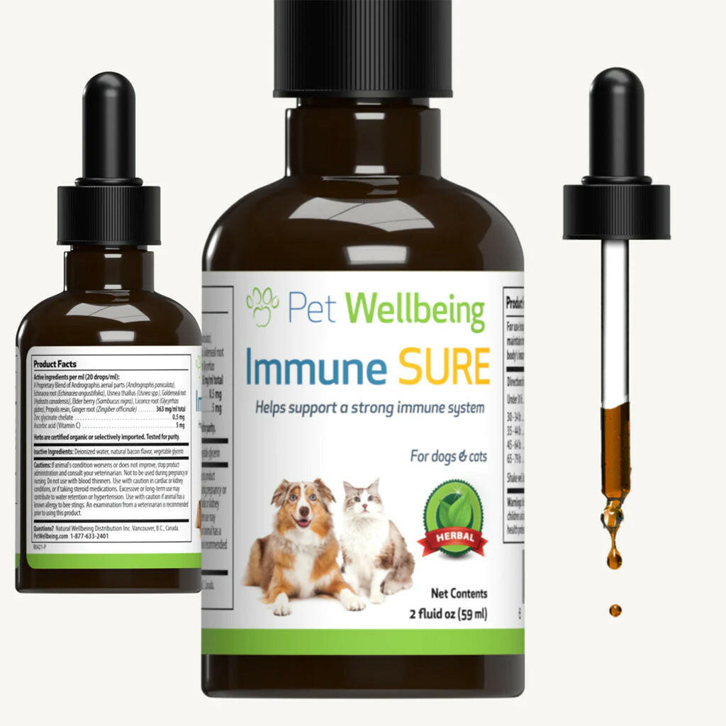 This supplement provides herbal immune support for cats