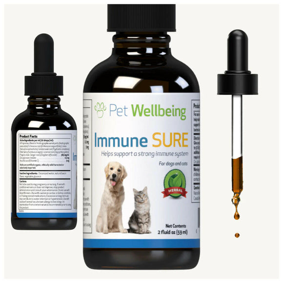Immune Sure is made with natural ingredients like echinacea and elderberry for dogs