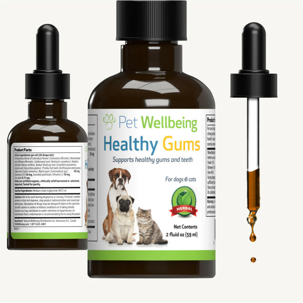 Healthy Gums - for Feline Periodontal Health (2 oz)