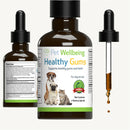 Healthy Gums - for Feline Periodontal Health (2 oz)