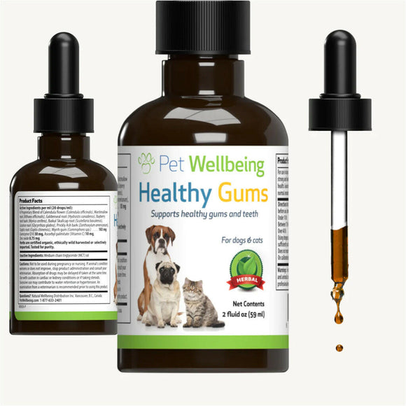 Healthy Gums - for Feline Periodontal Health (2 oz)