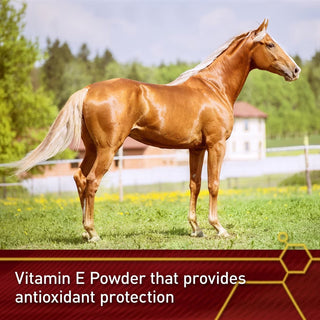 Vita Flex E-5000 Vitamin E Concentrate For Horses (4 lb)