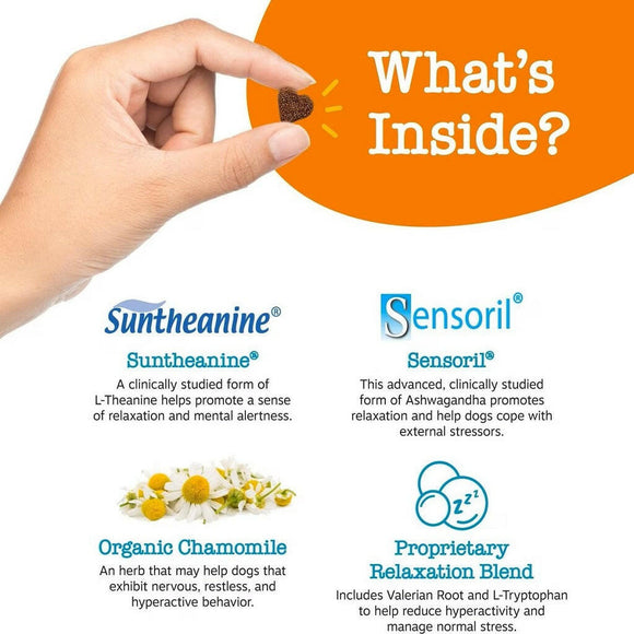 Zesty Calm Bite Turkey Flavor Soft Chew Supplement For Puppy (90 ct)