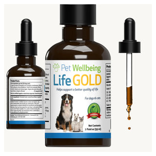 Life Gold - Trusted Care for Cat Cancer (2 oz)