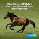 Farnam Apple Elite Electrolyte Pellets Horse Supplement (7.5 lb)