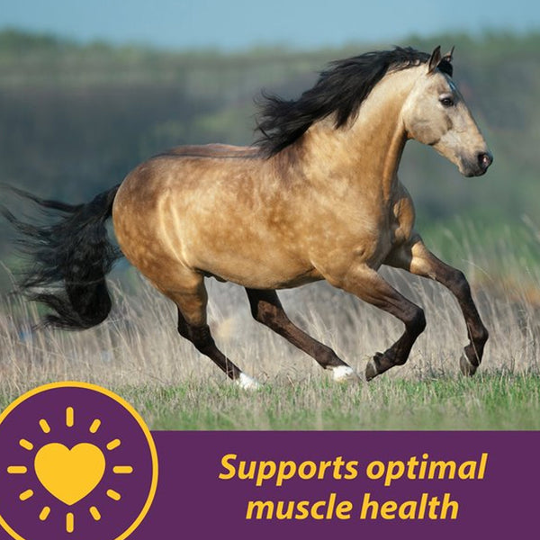 Horse Health Products Vitamin-E & Selenium Crumbles Horse Supplement (3 lb)