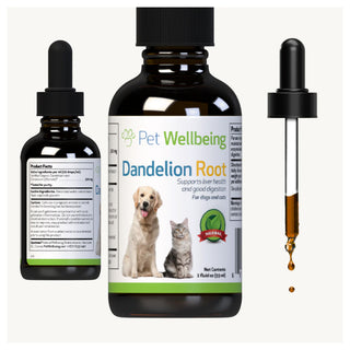 Dandelion root for dogs comes with a dropper for easy administration