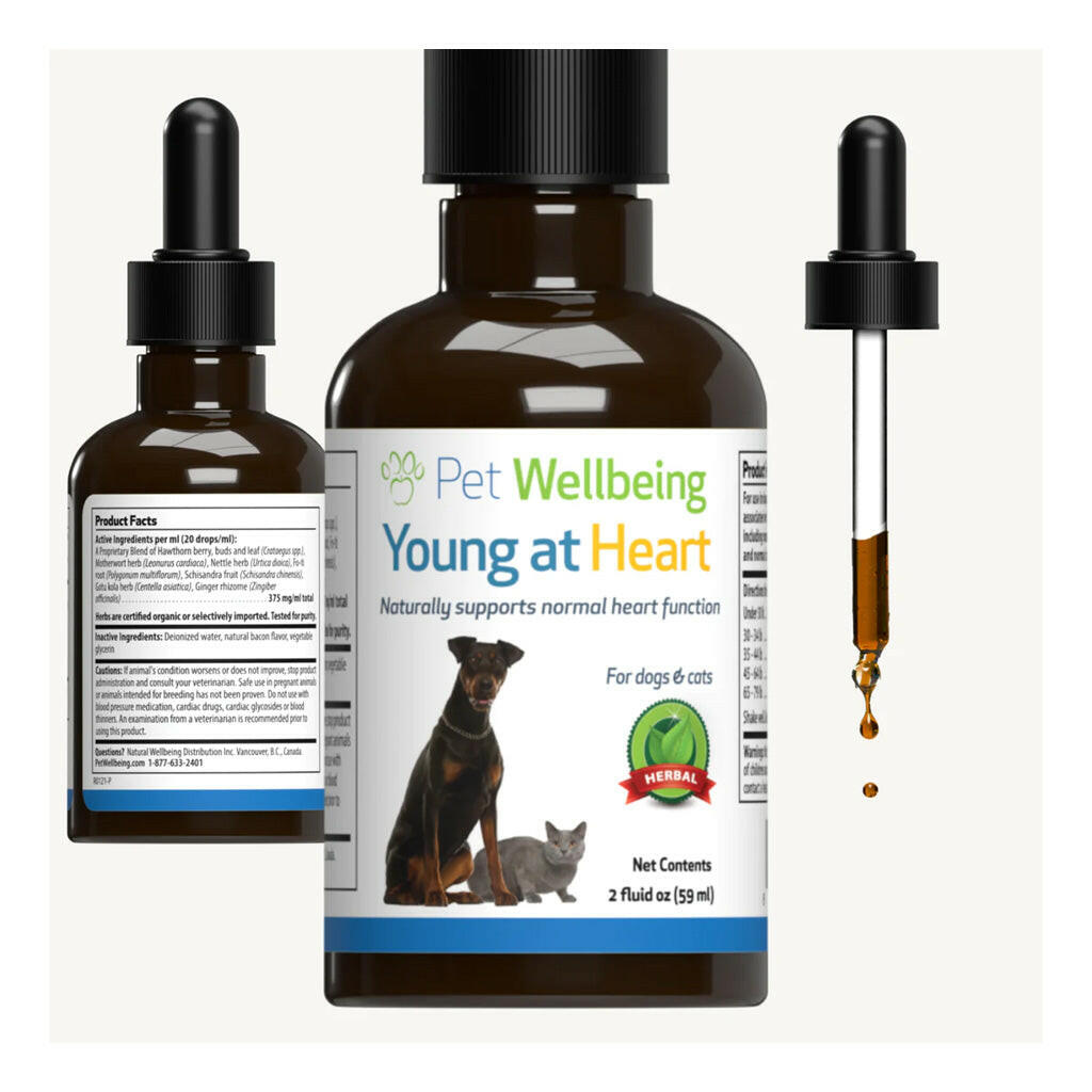 Young at Heart for Healthy Heart Maintenance in Cats (2 oz)