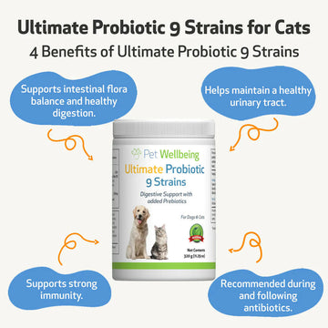 Ultimate Probiotic 9 Strains with Prebiotics for Cats (11.29 oz)