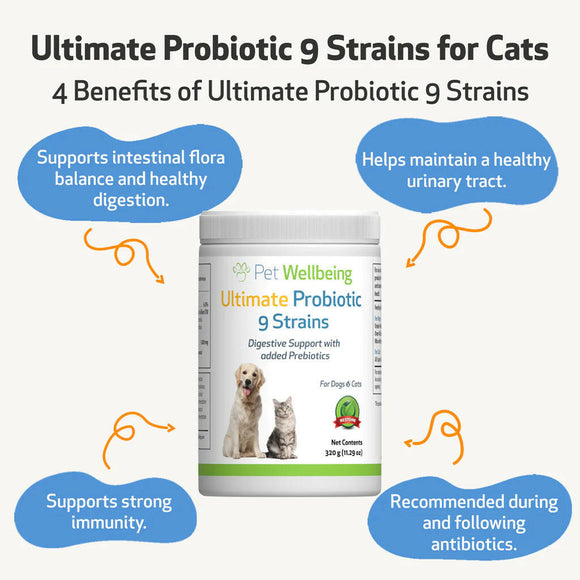 Ultimate Probiotic 9 Strains with Prebiotics for Cats (11.29 oz)