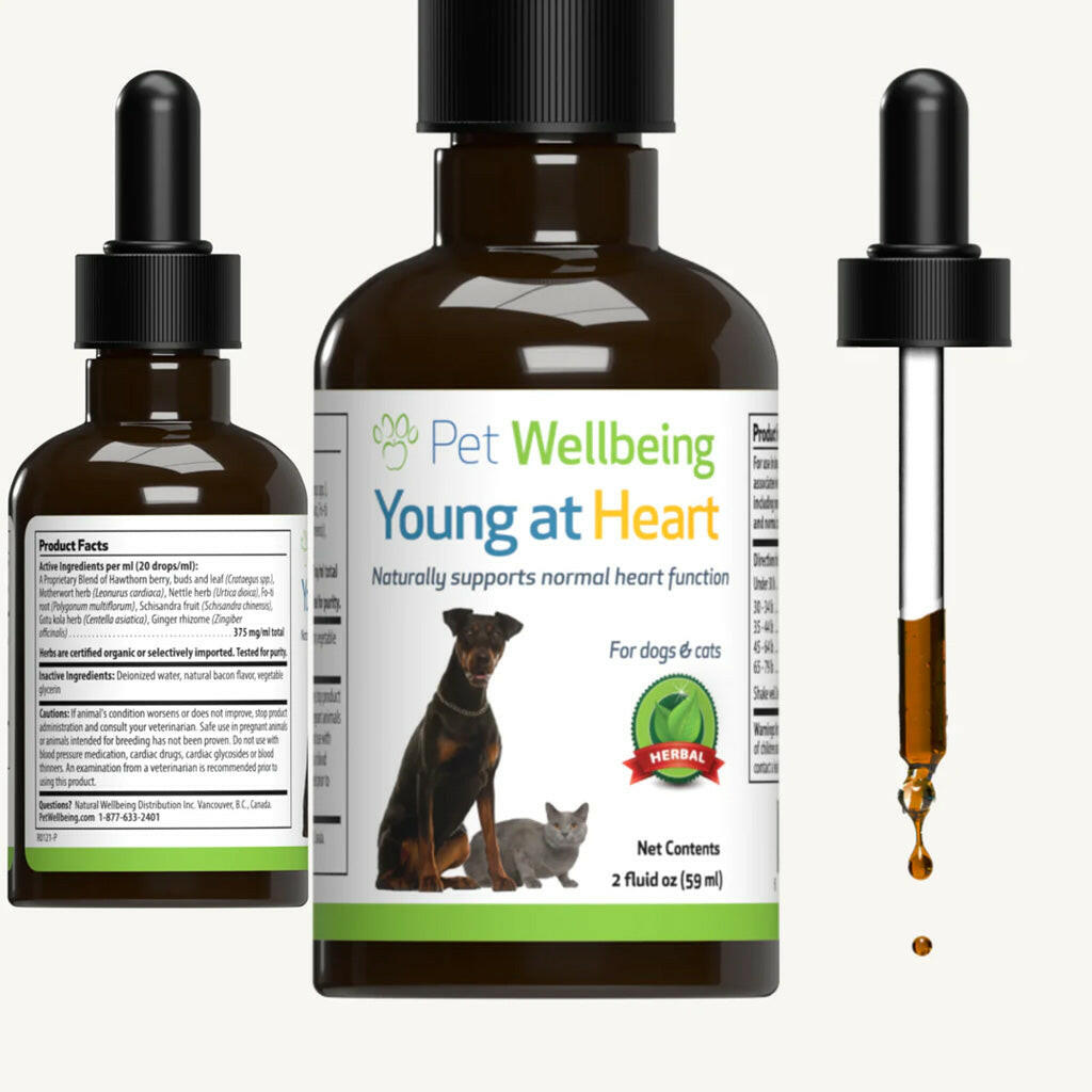 Young at Heart - for Healthy Heart Maintenance in Dogs (2 oz)