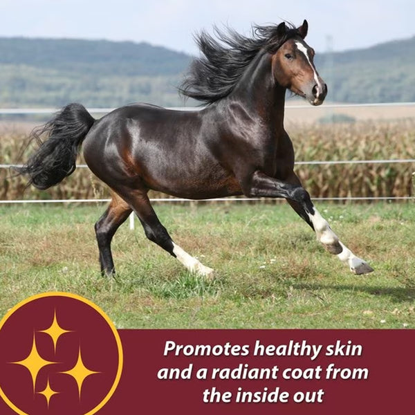 Farnam Laser Sheen Skin  & Coat Supplement For Horses (7.5 lb)