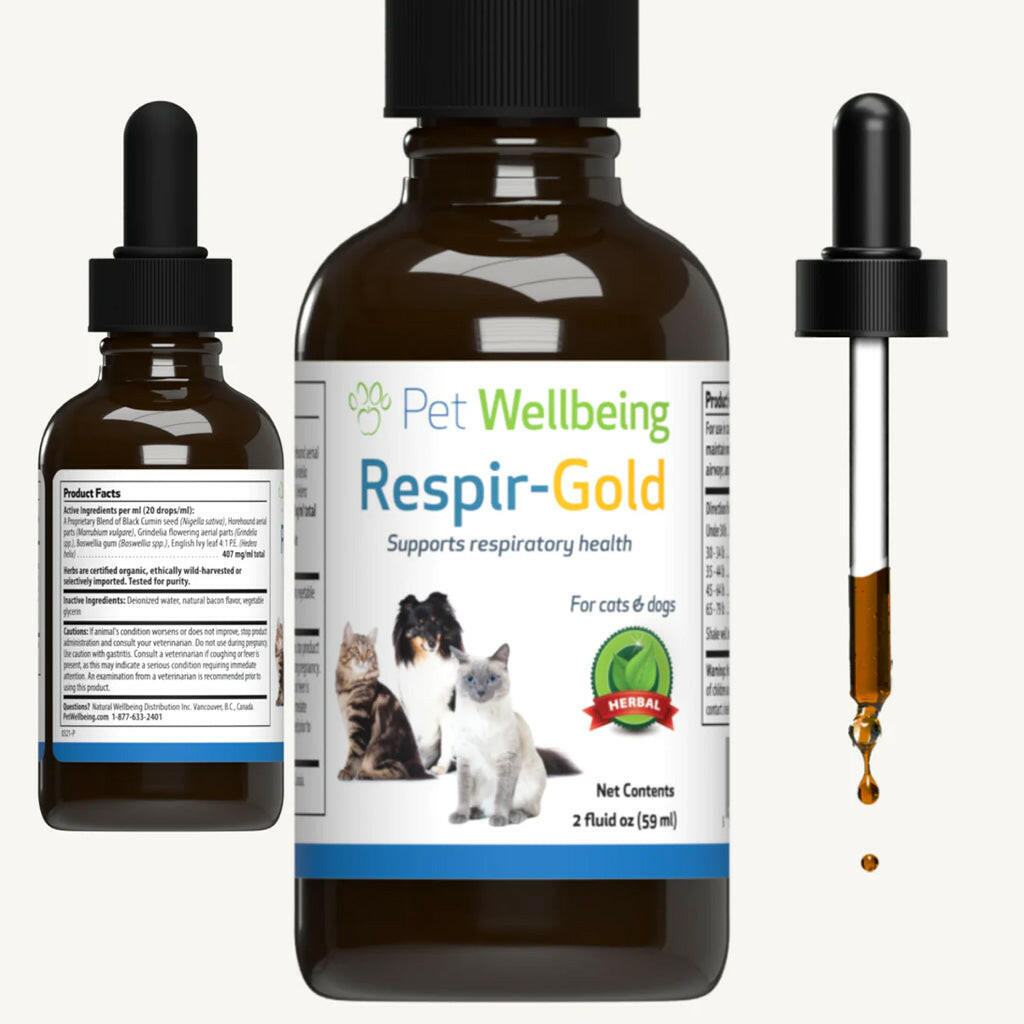 Respir-Gold for easy breathing in your feline friend