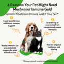 Mushroom Immune Gold - Holistic Cancer Support for Dogs (8 oz)