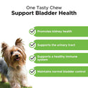Pet Honesty Bladder Health Urinary Tract Support Soft Chews for Dogs (90 ct)