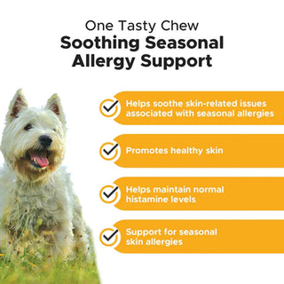 Pet Honesty Allergy Skin Health Soft Chews for Dogs (90 ct)