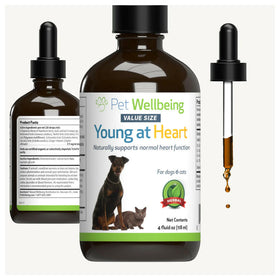 Young at Heart for Healthy Heart Maintenance in Cats (4 oz)