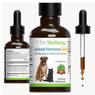 Adrenal harmony gold for dogs supports healthy adrenal function.