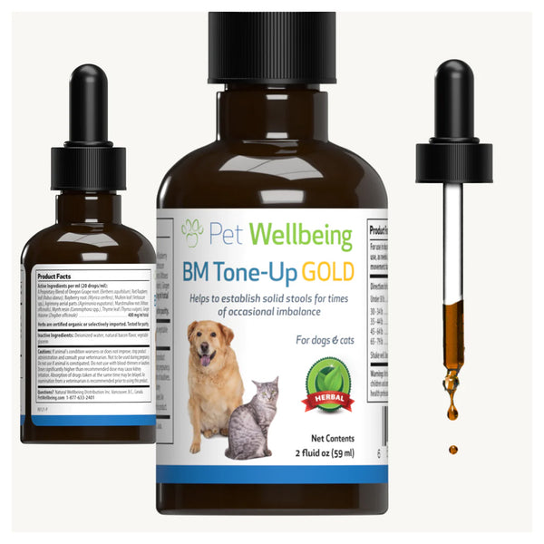 BM Tone-Up Gold for Loose Stools in Cats (2 oz)