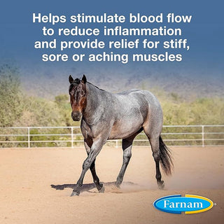 Farnam Vetrolin Sore Muscle & Joint Pain Relief Horse Liniment Spray(32 oz)