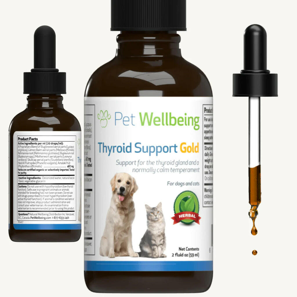 Thyroid support gold also helps keep your cat calm