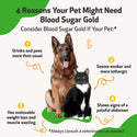 Blood Sugar Gold for Cat Blood Sugar Support (4 oz)