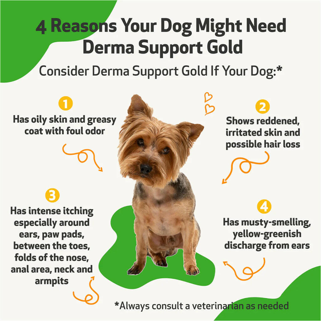 Derma Support Gold for Dogs Healthy Coat, Odor & Itching (2 oz)