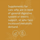 feline enteric support is great for cats with increased metabolic demand