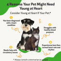 Young at Heart - for Healthy Heart Maintenance in Dogs (4 oz)