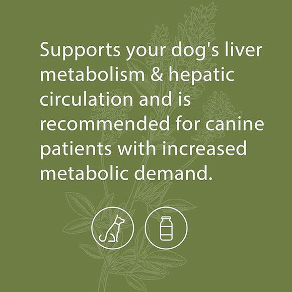 this dog liver supplement supports your dog's liver metabolism and hepatic circulation. 