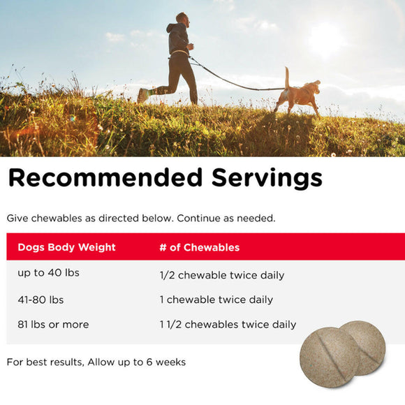 Nutri-Vet Hip & Joint Extra Strength for Dogs (75 chewable tablets)