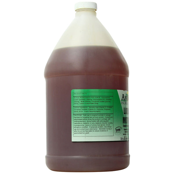 AniMed Liquid Motion Support For Horse (1 gallon)