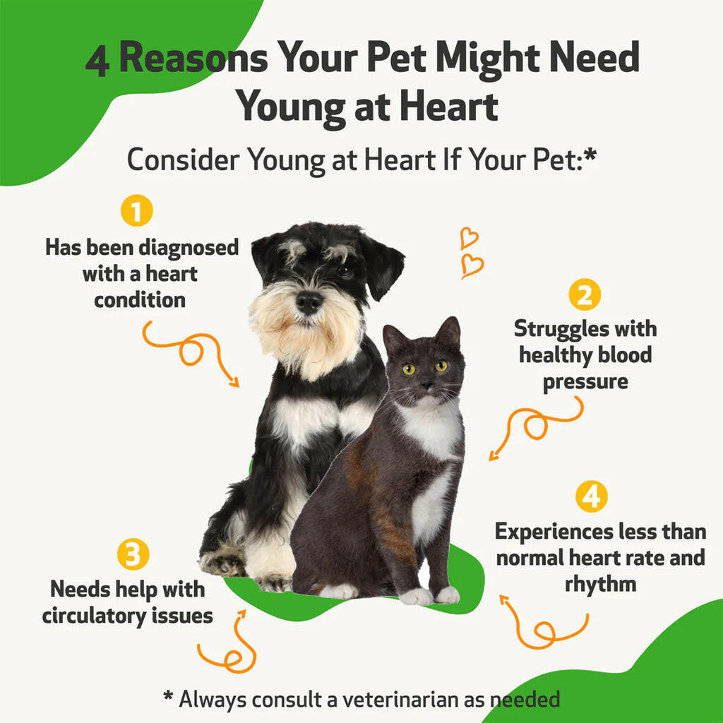 Young at Heart for Healthy Heart Maintenance in Cats (4 oz)