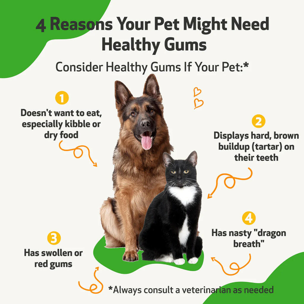 Healthy Gums - for Feline Periodontal Health (2 oz)