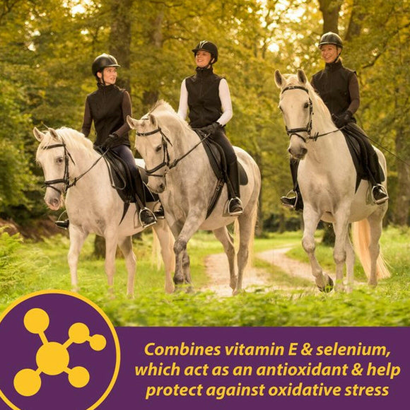 Horse Health Products Vitamin-E & Selenium Crumbles Horse Supplement (3 lb)