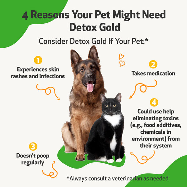 Detox Gold for Cats - Gentle Detoxification & Elimination Support (2 oz)