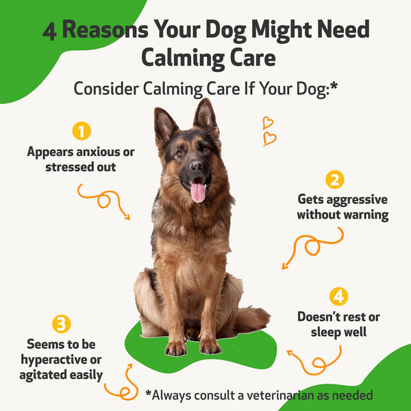 Calming Care Anxious Behavior for Dog (2 oz)