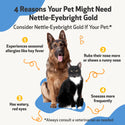 Nettle-Eyebright Gold - Seasonal Allergy Defense for Cats (2 oz)