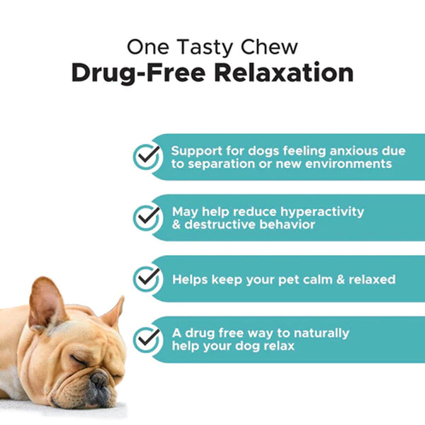Pet Honesty Melatonin Calming Max Strenght Soft Chews for Dogs (90 ct)