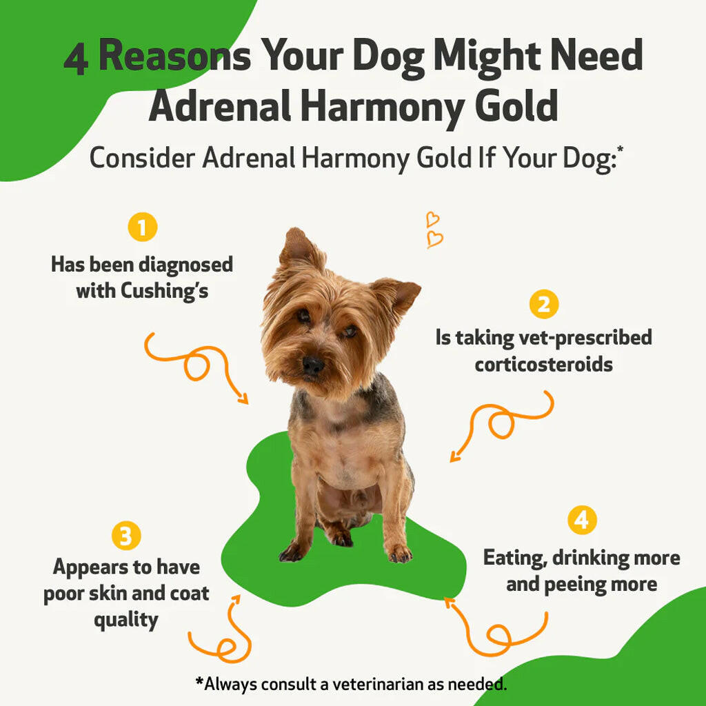 Cushing's disease in dogs is very common. Adrenal Harmony Gold features natural ingredients like ashwagandh