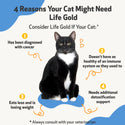 Life Gold - Trusted Care for Cat Cancer (4 oz)