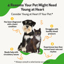 Young at Heart for Healthy Heart Maintenance in Cats (2 oz)